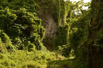 The lush rainforest and jungle landscapes of St Vincent And the Grenadines islands, Caribbean Ocean