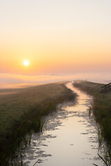 Sun shines over a wavy layer of low lying fog in the dutch countryside just after sunrise
