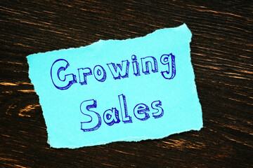Financial concept meaning Growing Sales with phrase on the page.