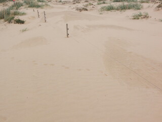 footprints in the sand