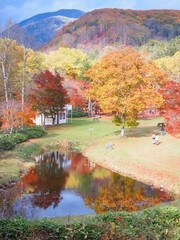 Obraz premium 北海道の絶景 鹿追町 福原山荘の紅葉