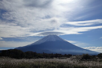 There are signs of autumn.