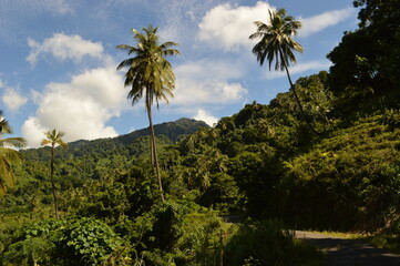 Fototapeta na wymiar The lush jungle landscapes with waterfalls and black volcanic beaches on the St Vincent and Grenadines islands, Caribbean Ocean