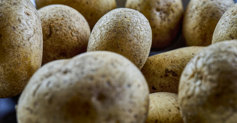 Wrinkled old dry potatoes on a pile, selective focus on the rear potatoes