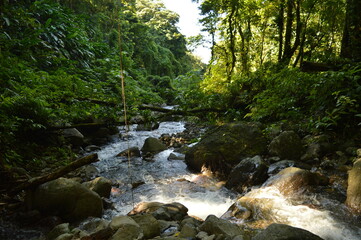 The lush jungle landscapes with waterfalls and black volcanic beaches on the St Vincent and...
