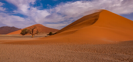 Plakat sand dunes in the desert