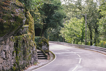 The forest around the shrine of Senhora da Penha, Guimaraes, Portugal