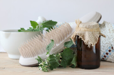 Fresh herbs of mint and nettle for the preparation of cosmetic oil for spa treatments and comb.