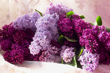 bouquet of lilac flowers