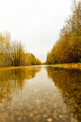 autumn landscape with lake