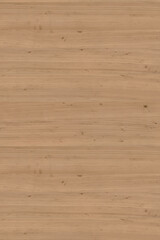 brown wooden tree timber background texture structure backdrop high size