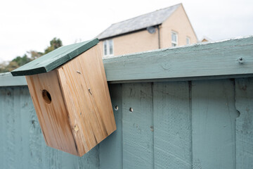 Home made wooden bird and nesting box seen attached to a painted fence.
