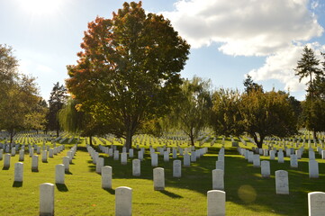 Autumn colors at the beautiful Arlington National Cemetary in Washington, United States