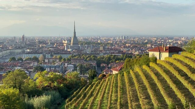 Panoramic view of Turin with Mole Antonelliana, Vittorio's Square, and the Queen's vineyard at the forefront.