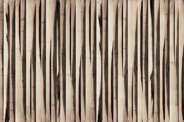 maple wood tree timber background texture structure surface