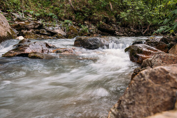 rough stony river in the mountains in the forest