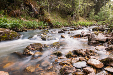 rough stony river in the mountains in the forest