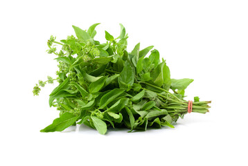 Green fresh lemon basil leaves isolated on white background with clipping path, Fresh thai garden herbs, Hoary basil, Hairy basil (Ocimum africanum)