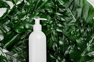 Mockup of blank white bottle on green tropical leaves, spa concept