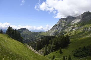Fototapeta premium Savoie, col de l'Arpetaz