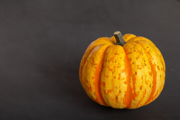 Orange, yellow pumpkin lies on a black background
