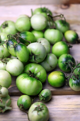 Selective focus. Green tomatoes on a wooden surface. Harvest green tomatoes.
