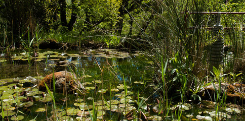 Mare dans jardin d'agrément à Digne, France