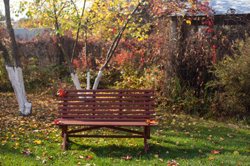 Red wooden bench in the backyard of the countryside garden in autumn sunny day. Cottagecore aesthetics concept.