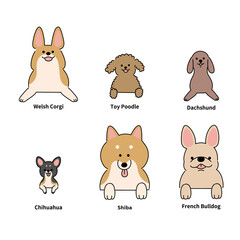 6犬種