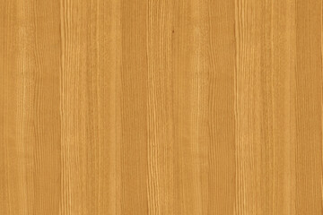 ash-tree wooden background texture structure backdrop