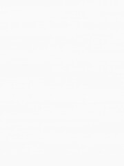 pale bleached wood surface texture background backdrop