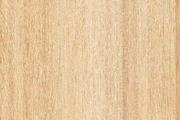 brown oak tree timber wood surface texture background wallpaper