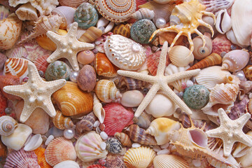 Many amazing seashells and starfishes mixed with pearls