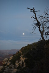 Obraz premium Hiking in beautiful Sedona and the Grand Canyon in Arizona, United States of America