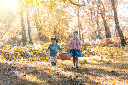 Two Children Carrying A Picnic Basket In The Autumn Wood - Cute Brother And Sister, Siblings Enjoying A Family Day Out At Park On A Sunny Day In The UK - Nature And Lifestyle