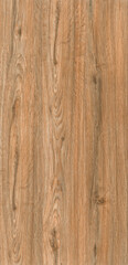  wood texture background surface with old natural pattern