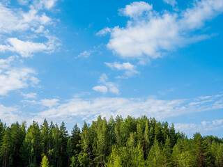 Fototapeta na wymiar Green forest, blue sky with whisps of cloud. This is one of the many natural vistas in Finland. This one was shot at Tuusula / Vantaa.
