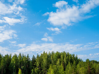Fototapeta premium Green forest, blue sky with whisps of cloud. This is one of the many natural vistas in Finland. This one was shot at Tuusula / Vantaa.
