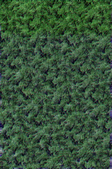 green glitch abstract pattern effect background wallpaper