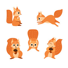 Cute cartoon squirrels set. Funny woodland character isolated on white background. Vector illustration.