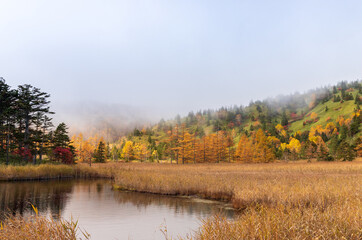 朝霧に煙る紅葉の芳が平