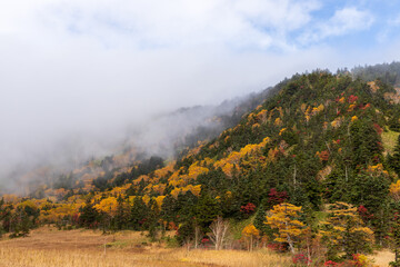 朝霧に煙る紅葉の芳が平