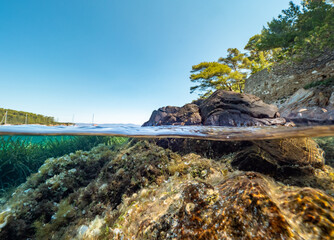 Split shot of underwater scenery with sea grass in Port-Cros Nationalpark in the Mediterranean Sea,...
