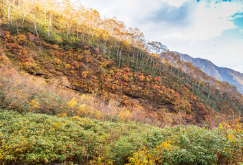 紅葉の妙高山登山道