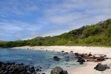 Ecuador Galapagos Islands - San Cristobal Island Wildlife Beach Baquerizo - Playa Baquerizo