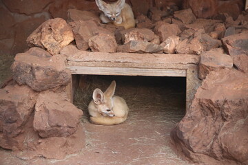 Photo Taken in Lion and Rhino Reserve, Krugersdorp