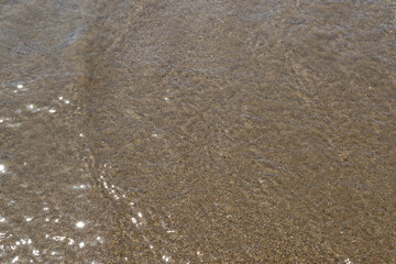 clear sea water shallow water