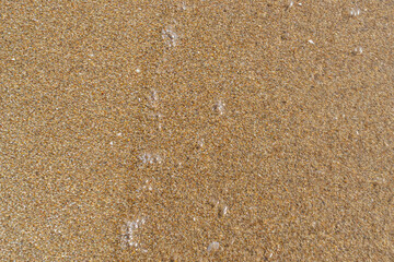clear sea water shallow water