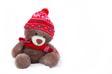 A toy fluffy bear in a winter hat on a white background.