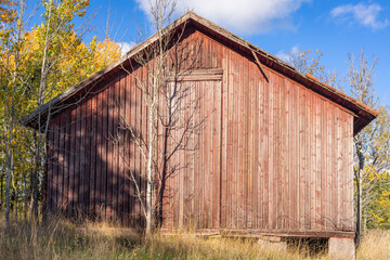 Old shabby red barn in the fall season. Vintage photo. An abandoned farm in a rural location and wooden warehouse for storage of grain. Autumn forest with colorful tree crowns and blue sky.